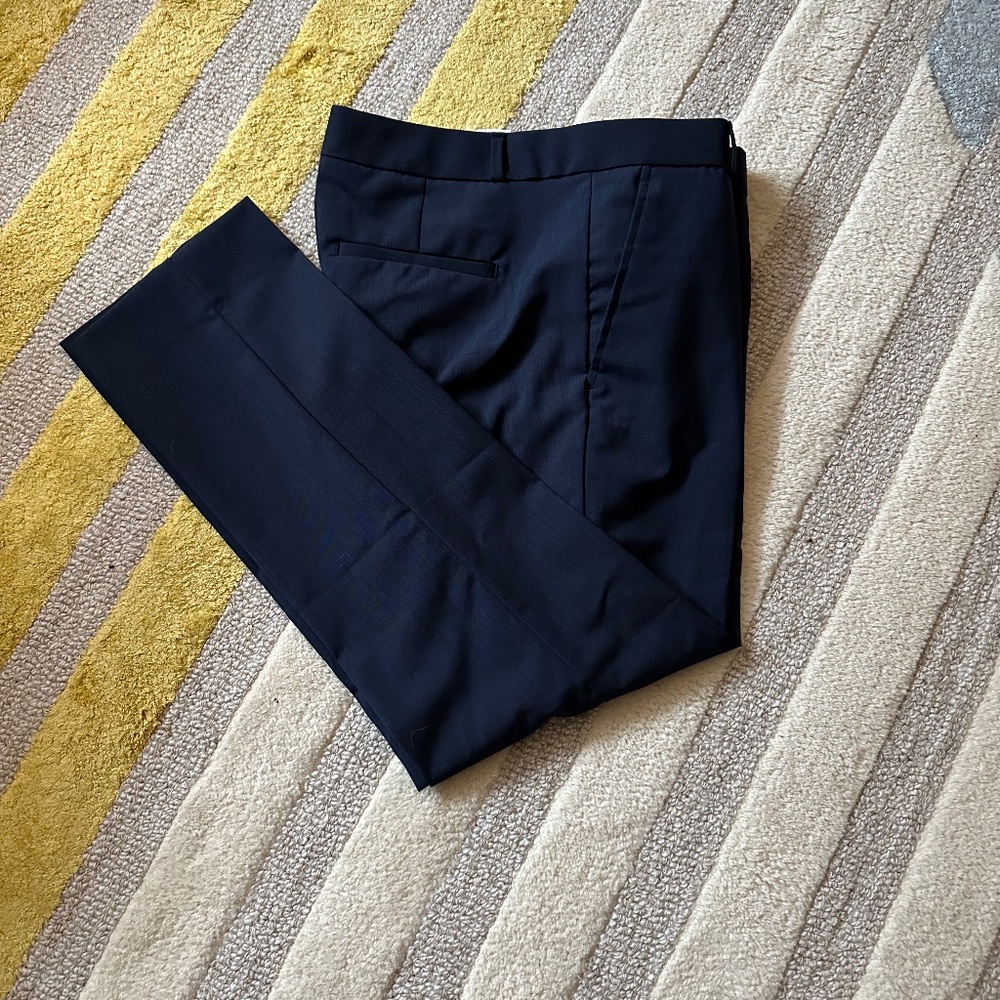 Banana Republic Ryan Slim Wool Blend Pant  6S